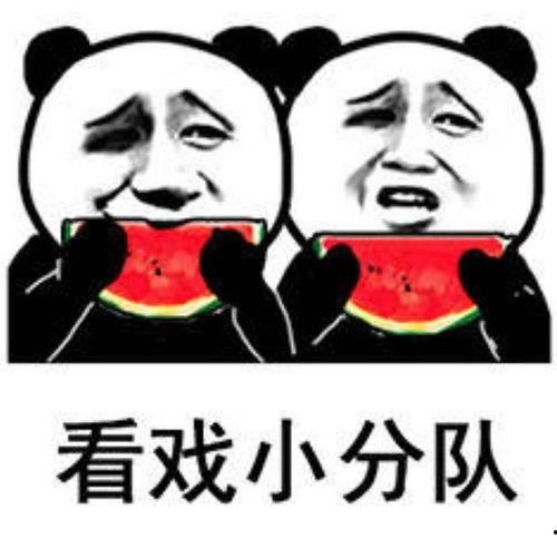 娱乐吃瓜最后一集是什么,揭秘娱乐圈真相，悬念揭晓！