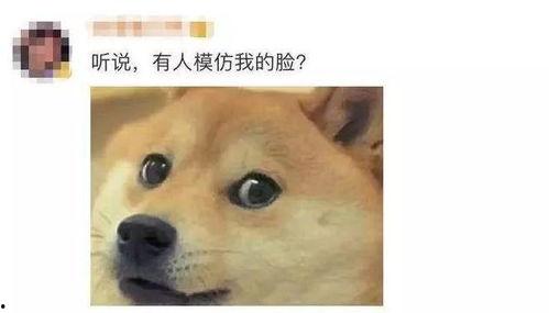 微信表情吃瓜图片什么意思,网络热议背后的真相