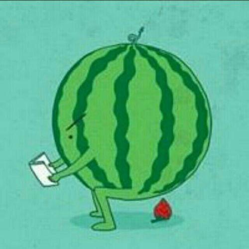 娱乐吃瓜酱的贴纸是什么,一场视觉盛宴的狂欢