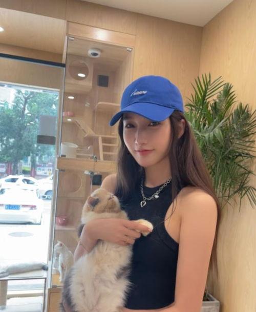 吃瓜娱乐圈三年停滞期