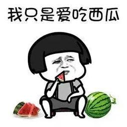 娱乐圈吃瓜协会是什么